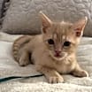 Thumbnail photo of Colby #3