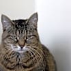 Thumbnail photo of Sissy (Lightning) #2