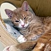 Thumbnail photo of Peter #2