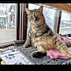 Thumbnail photo of Ruby #1