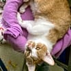 Thumbnail photo of Sid #2