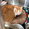Thumbnail photo of Sid #3