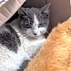 Thumbnail photo of Patience #2