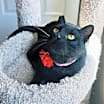 Thumbnail photo of Conrad #3