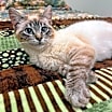 Thumbnail photo of Aimee #1