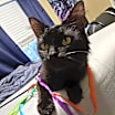 Thumbnail photo of Winnie #2