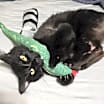 Thumbnail photo of Winnie #4