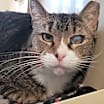 Thumbnail photo of Little One #2