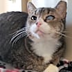 Thumbnail photo of Little One #3