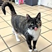 Thumbnail photo of Cupcake #3