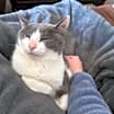 Thumbnail photo of Twiggy #1