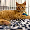 Thumbnail photo of Sonny #2