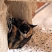 Thumbnail photo of Bernadette #2