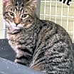 Thumbnail photo of Walter (was Vincent) #2