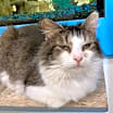 Thumbnail photo of Delia #1