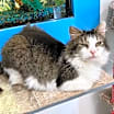 Thumbnail photo of Delia #3