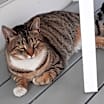 Thumbnail photo of Bess #1