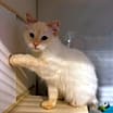 Thumbnail photo of Jerry #1