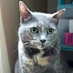 Thumbnail photo of Moonpie #2