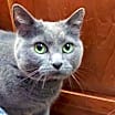 Thumbnail photo of Matilda #2