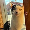 Thumbnail photo of Bubbles #1