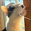 Thumbnail photo of Bubbles #2