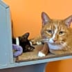 Thumbnail photo of Bill and Bebe #1