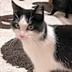Thumbnail photo of Wally #1