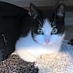 Thumbnail photo of Wally #3