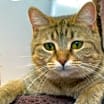 Thumbnail photo of Terri #1