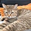 Thumbnail photo of Terri #2