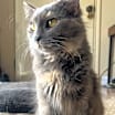 Thumbnail photo of Jelly Bean #2