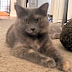 Thumbnail photo of Jelly Bean #3