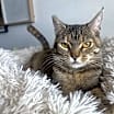 Thumbnail photo of Ducky #4