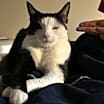 Thumbnail photo of FIONA #1