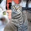 Thumbnail photo of Tuffs #1