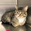 Thumbnail photo of Elroy #1