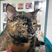 Thumbnail photo of Ira M #3