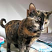 Thumbnail photo of Ira M #2