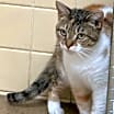 Thumbnail photo of Kiwi #4