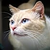 Thumbnail photo of Bernard #2