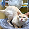 Thumbnail photo of Bernard #4