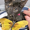 Thumbnail photo of Daniella #1