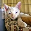Thumbnail photo of Fergus #4