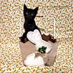 Thumbnail photo of Z Litter : Zyree #2