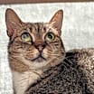 Thumbnail photo of Chrissy #1