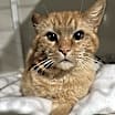 Thumbnail photo of Trenton #1