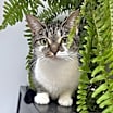 Thumbnail photo of Francesca #2