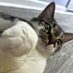 Thumbnail photo of Francesca #3