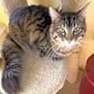 Thumbnail photo of Max #3
